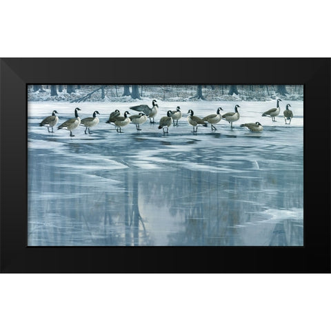 Midwinter Thaw Black Modern Wood Framed Art Print by Goebel, Wilhelm