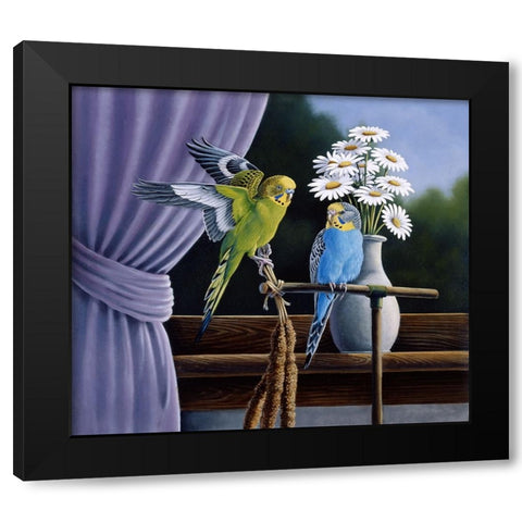 Parakeets Black Modern Wood Framed Art Print with Double Matting by Goebel, Wilhelm