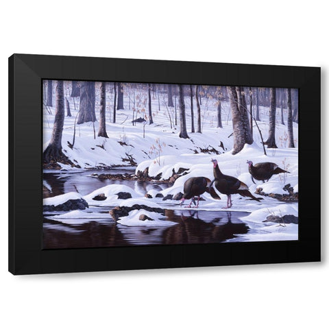 Hardwood Creek - Wild Turkeys Black Modern Wood Framed Art Print with Double Matting by Goebel, Wilhelm