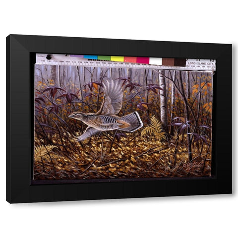 Silver Streak - Ruffed Grouse Black Modern Wood Framed Art Print by Goebel, Wilhelm