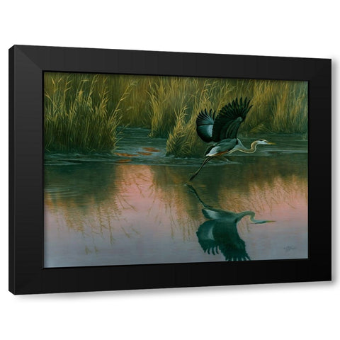 Evening Flight - Great Blue Heron Black Modern Wood Framed Art Print with Double Matting by Goebel, Wilhelm