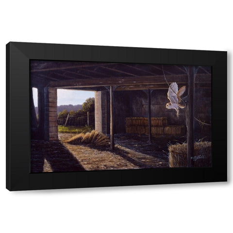 On Silent Wings - Barn Owl Black Modern Wood Framed Art Print by Goebel, Wilhelm