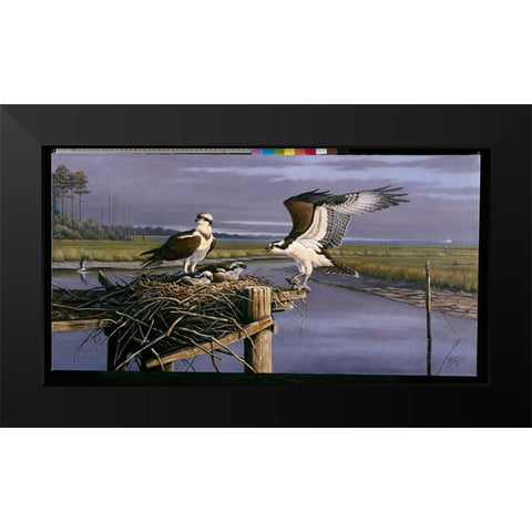 Chesapeake Treasurers - Osprey Black Modern Wood Framed Art Print by Goebel, Wilhelm