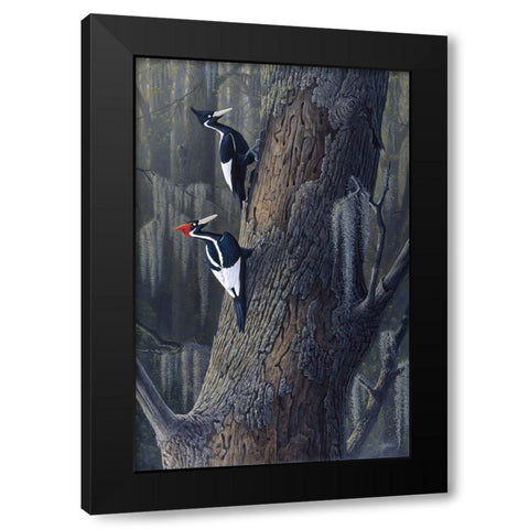 Legends Of The Pearl Black Modern Wood Framed Art Print with Double Matting by Goebel, Wilhelm