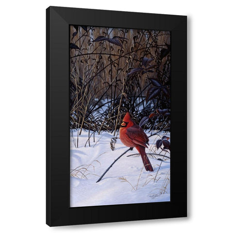 Roadside Cardinal Black Modern Wood Framed Art Print by Goebel, Wilhelm