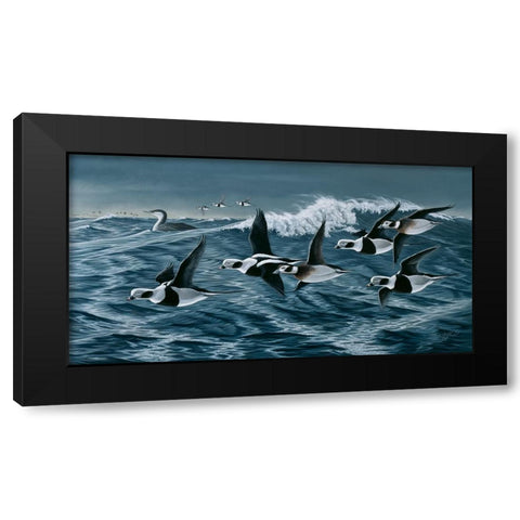 Rough Day On The Bay - Oldsquaw Ducks Black Modern Wood Framed Art Print by Goebel, Wilhelm