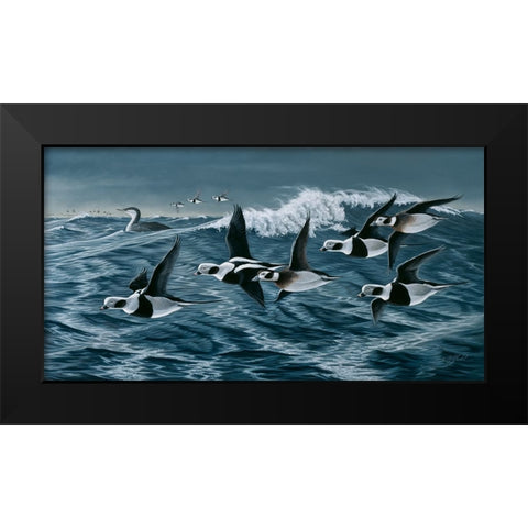 Rough Day On The Bay - Oldsquaw Ducks Black Modern Wood Framed Art Print by Goebel, Wilhelm