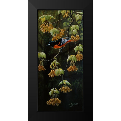 Forest Flame - Baltimore Oriole Black Modern Wood Framed Art Print by Goebel, Wilhelm