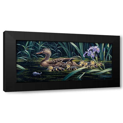 Mothers Day - Mallard Black Modern Wood Framed Art Print with Double Matting by Goebel, Wilhelm