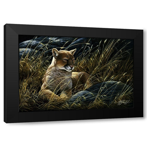 Cougar In The Grass Black Modern Wood Framed Art Print with Double Matting by Goebel, Wilhelm