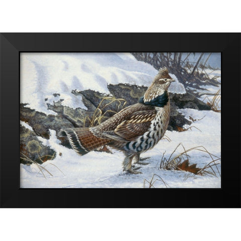 Ruffed Grouse Black Modern Wood Framed Art Print by Goebel, Wilhelm
