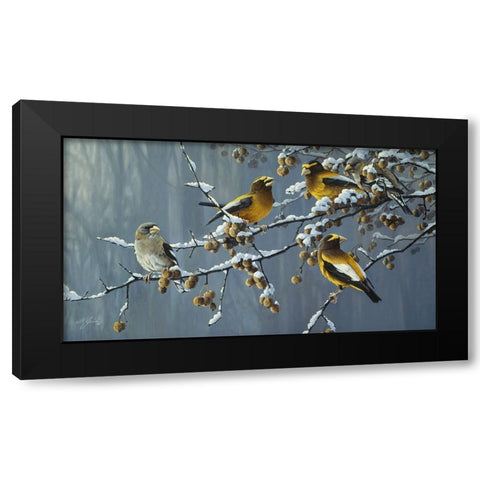 Winters Treat Black Modern Wood Framed Art Print with Double Matting by Goebel, Wilhelm