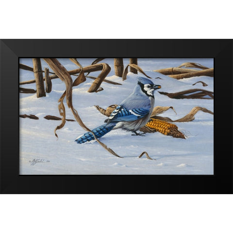 Bluejay Black Modern Wood Framed Art Print by Goebel, Wilhelm