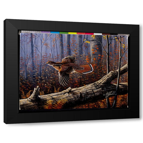 Windfall Glider - Ruffed Grouse Black Modern Wood Framed Art Print by Goebel, Wilhelm