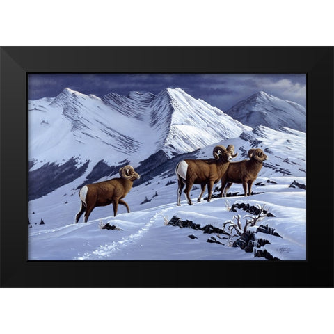 High Country Rams Black Modern Wood Framed Art Print by Goebel, Wilhelm