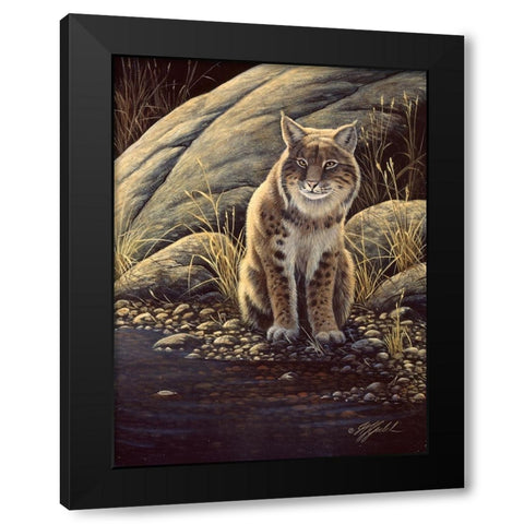 Backlight-Bobcat Black Modern Wood Framed Art Print with Double Matting by Goebel, Wilhelm