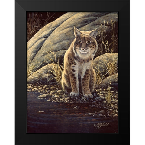 Backlight-Bobcat Black Modern Wood Framed Art Print by Goebel, Wilhelm