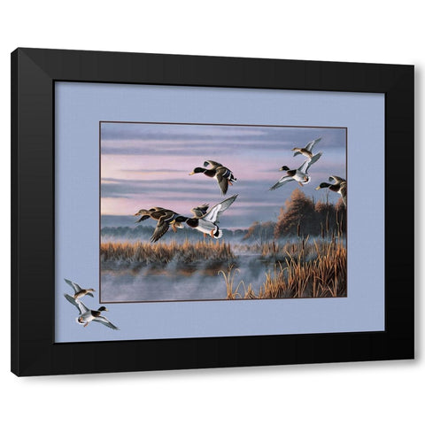 Ducks In Flight 1 Black Modern Wood Framed Art Print by Goebel, Wilhelm