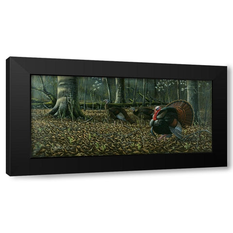 The Suitor - Wild Turkeys Black Modern Wood Framed Art Print by Goebel, Wilhelm