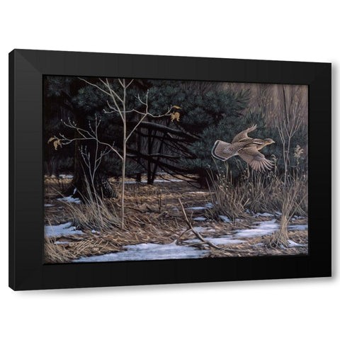 Grouse On The Wing Black Modern Wood Framed Art Print by Goebel, Wilhelm