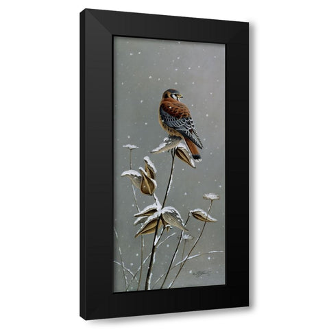 Gentle Snowfall - Kestrel Black Modern Wood Framed Art Print with Double Matting by Goebel, Wilhelm