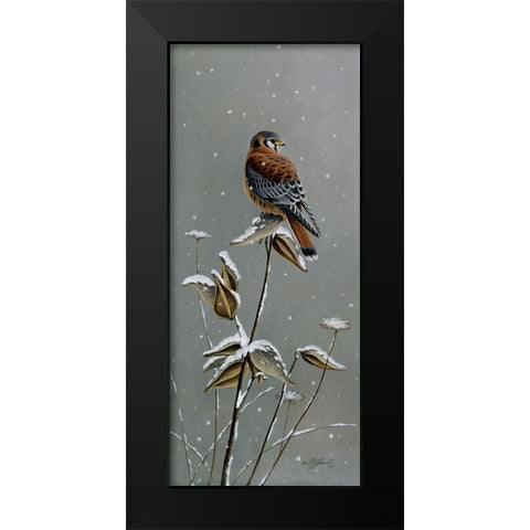 Gentle Snowfall - Kestrel Black Modern Wood Framed Art Print by Goebel, Wilhelm