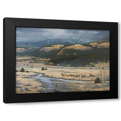 Big Valley Elk Black Modern Wood Framed Art Print by Goebel, Wilhelm