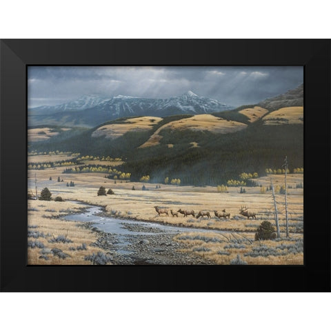 Big Valley Elk Black Modern Wood Framed Art Print by Goebel, Wilhelm