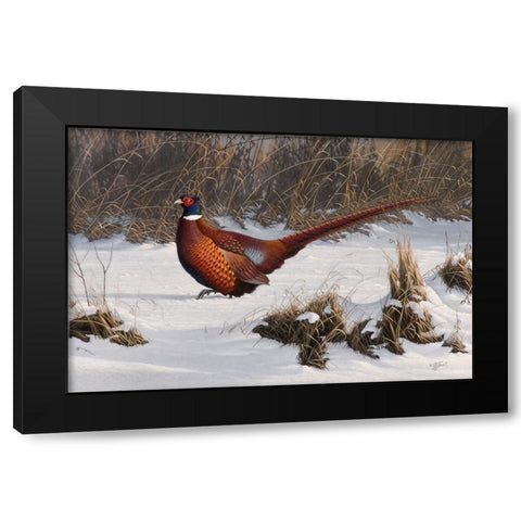 Winter Walk Pheasant Black Modern Wood Framed Art Print by Goebel, Wilhelm