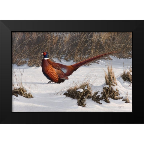 Winter Walk Pheasant Black Modern Wood Framed Art Print by Goebel, Wilhelm