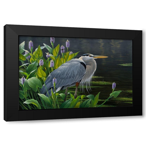 Biding Time Great Blue Heron Black Modern Wood Framed Art Print with Double Matting by Goebel, Wilhelm