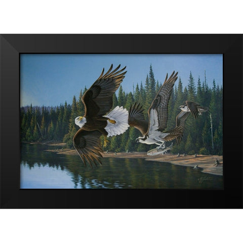 Eagle Osprey Black Modern Wood Framed Art Print by Goebel, Wilhelm