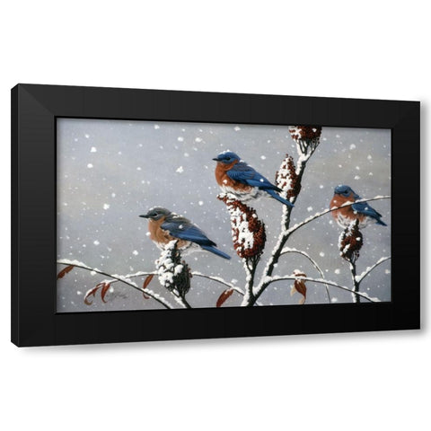 Winter Trio Black Modern Wood Framed Art Print by Goebel, Wilhelm