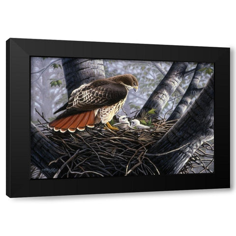 In The Nest Black Modern Wood Framed Art Print with Double Matting by Goebel, Wilhelm