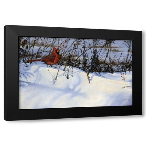 Winter Cardinal Black Modern Wood Framed Art Print by Goebel, Wilhelm