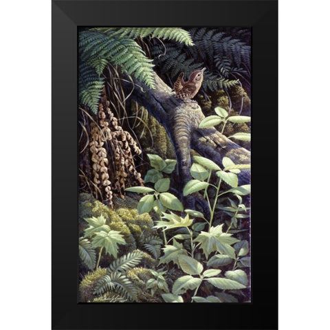 On A Limb Black Modern Wood Framed Art Print by Goebel, Wilhelm