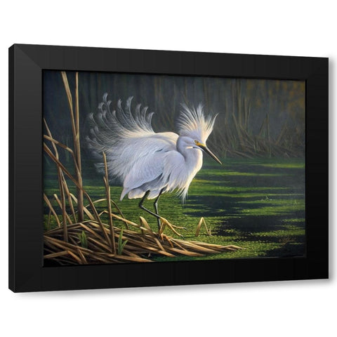Wg9250710013 Black Modern Wood Framed Art Print with Double Matting by Goebel, Wilhelm
