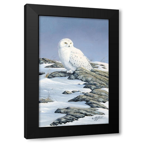 Snowy Owl Black Modern Wood Framed Art Print with Double Matting by Goebel, Wilhelm