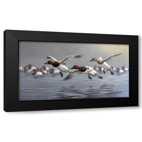 Canvasbacks Coming In Black Modern Wood Framed Art Print by Goebel, Wilhelm