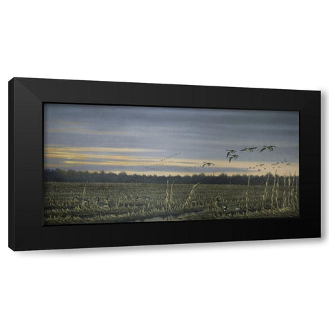 Canada Geese Black Modern Wood Framed Art Print by Goebel, Wilhelm