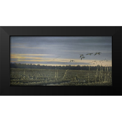 Canada Geese Black Modern Wood Framed Art Print by Goebel, Wilhelm