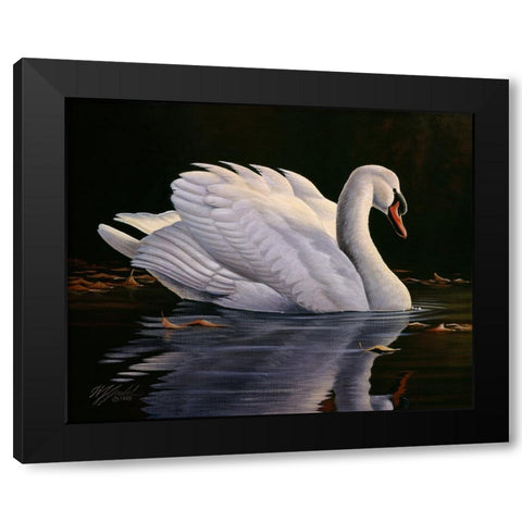 Reflection - Mute Swan Black Modern Wood Framed Art Print with Double Matting by Goebel, Wilhelm
