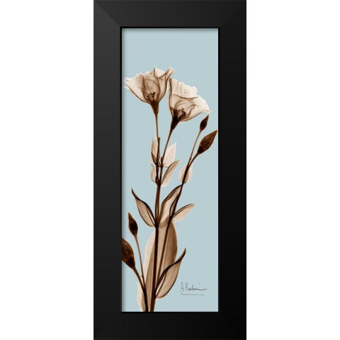 Tulip Pair  Brown on Blue Black Modern Wood Framed Art Print by Koetsier, Albert