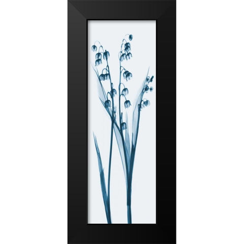 Lily of the Valley in Blue Black Modern Wood Framed Art Print by Koetsier, Albert