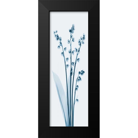 Lily of the Valley in Blue 2 Black Modern Wood Framed Art Print by Koetsier, Albert