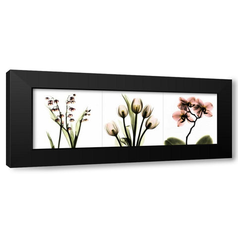 Pink Floral Tryp Tych II Black Modern Wood Framed Art Print with Double Matting by Koetsier, Albert