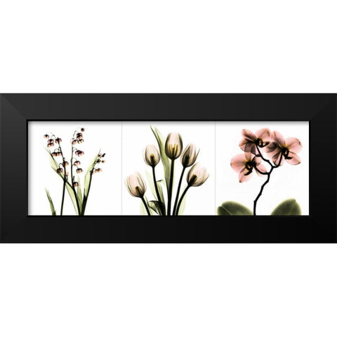 Pink Floral Tryp Tych II Black Modern Wood Framed Art Print by Koetsier, Albert