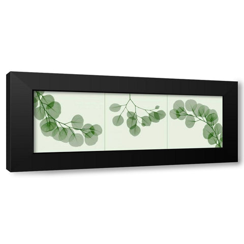 Leaf Triple in Green Black Modern Wood Framed Art Print with Double Matting by Koetsier, Albert