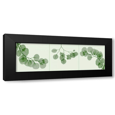 Leaf Triple in Green Black Modern Wood Framed Art Print by Koetsier, Albert