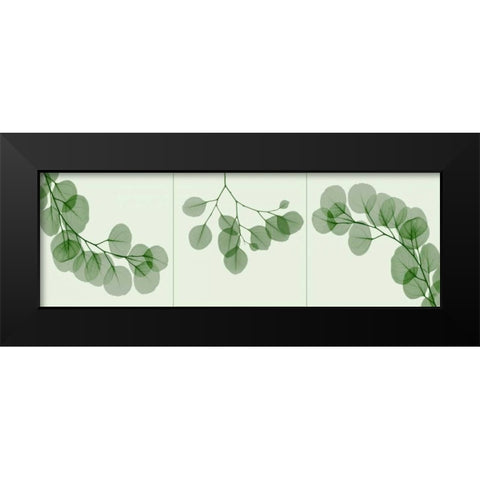 Leaf Triple in Green Black Modern Wood Framed Art Print by Koetsier, Albert